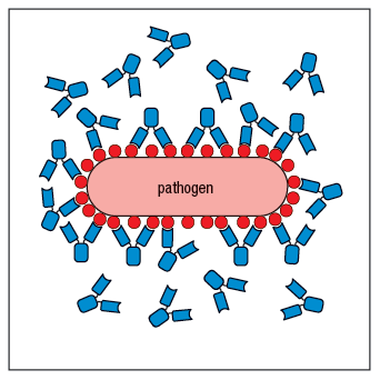 pathogen
