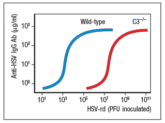 Wild-type
C3--
10°-
102-
10'
100.
105
10
HSV-rd (PFU inoculated)
101
10
10°
101
Anti-HSV IgG Ab (ug/ml)
