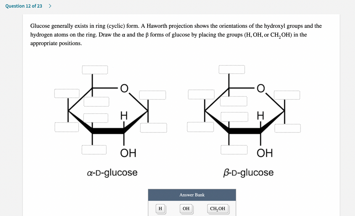 Question 12 of 23
>
Glucose generally exists in ring (cyclic) form. A Haworth projection shows the orientations of the hydroxyl groups and the
hydrogen atoms on the ring. Draw the a and the B forms of glucose by placing the groups (H, OH, or CH, OH) in the
appropriate positions.
H
ОН
ОН
a-D-glucose
B-D-glucose
Answer Bank
H
ОН
CH, OH
