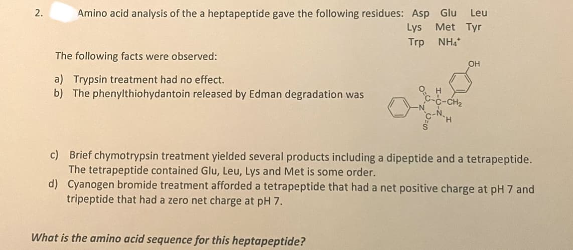 2.
Amino acid analysis of the a heptapeptide gave the following residues: Asp Glu Leu
Lys Met Tyr
Trp NH4+
The following facts were observed:
a) Trypsin treatment had no effect.
b) The phenylthiohydantoin released by Edman degradation was
-C-CH₂
What is the amino acid sequence for this heptapeptide?
OH
c)
Brief chymotrypsin treatment yielded several products including a dipeptide and a tetrapeptide.
The tetrapeptide contained Glu, Leu, Lys and Met is some order.
d) Cyanogen bromide treatment afforded a tetrapeptide that had a net positive charge at pH 7 and
tripeptide that had a zero net charge at pH 7.