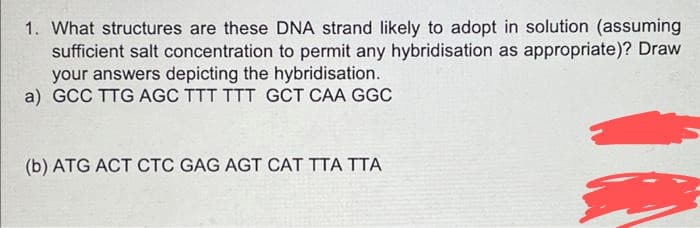 1. What structures are these DNA strand likely to adopt in solution (assuming
sufficient salt concentration to permit any hybridisation as appropriate)? Draw
your answers depicting the hybridisation.
a) GCC TTG AGC TTT TTT GCT CAA GGC
(b) ATG ACT CTC GAG AGT CAT TTA TTA