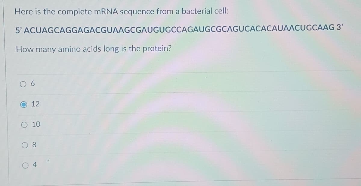 Here is the complete mRNA sequence from a bacterial cell:
5' ACUAGCAGGAGACGUAAGCGAUGUGCCAGAUGCGCAGUCACACAUAACUGCAAG 3'
How many amino acids long is the protein?
○ 6
12
○ 10
08
○ 4