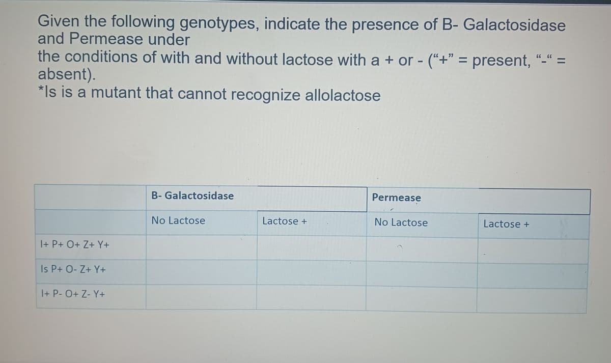 Given the following genotypes, indicate the presence of B- Galactosidase
and Permease under
the conditions of with and without lactose with a + or - ("+" = present, "-" =
absent).
*Is is a mutant that cannot recognize allolactose
B-Galactosidase
Permease
No Lactose
Lactose +
No Lactose
Lactose +
I+ P+ O+ Z+Y+
Is P+ O-Z+ Y+
I+ P- O+ Z- Y+