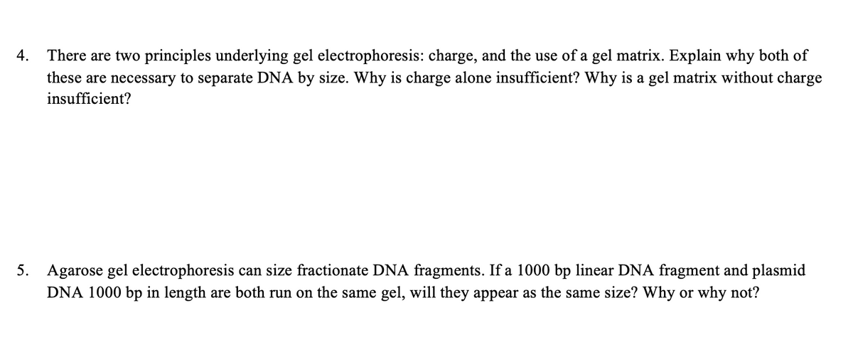 4. There are two principles underlying gel electrophoresis: charge, and the use of a gel matrix. Explain why both of
these are necessary to separate DNA by size. Why is charge alone insufficient? Why is a gel matrix without charge
insufficient?
5. Agarose gel electrophoresis can size fractionate DNA fragments. If a 1000 bp linear DNA fragment and plasmid
DNA 1000 bp in length are both run on the same gel, will they appear as the same size? Why or why not?