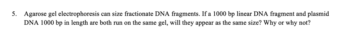 5. Agarose gel electrophoresis can size fractionate DNA fragments. If a 1000 bp linear DNA fragment and plasmid
DNA 1000 bp in length are both run on the same gel, will they appear as the same size? Why or why not?