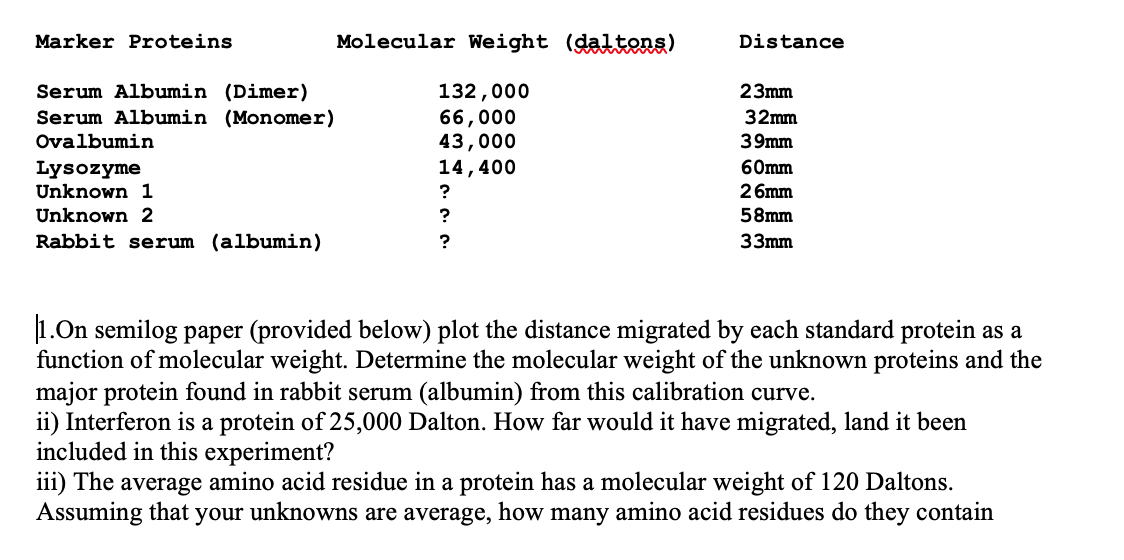 Marker Proteins
Molecular Weight (daltons)
Distance
132,000
66,000
43,000
14,400
Serum Albumin (Dimer)
Serum Albumin (Monomer)
23mm
32mm
Ovalbumin
39mm
60mm
Lysozyme
Unknown 1
26mm
Unknown 2
58mm
Rabbit serum (albumin)
33mm
1.On semilog paper (provided below) plot the distance migrated by each standard protein as a
function of molecular weight. Determine the molecular weight of the unknown proteins and the
major protein found in rabbit serum (albumin) from this calibration curve.
ii) Interferon is a protein of 25,000 Dalton. How far would it have migrated, land it been
included in this experiment?
iii) The average amino acid residue in a protein has a molecular weight of 120 Daltons.
Assuming that your unknowns are average, how many amino acid residues do they contain
