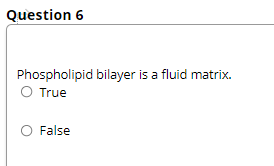 Question 6
Phospholipid bilayer is a fluid matrix.
O True
False