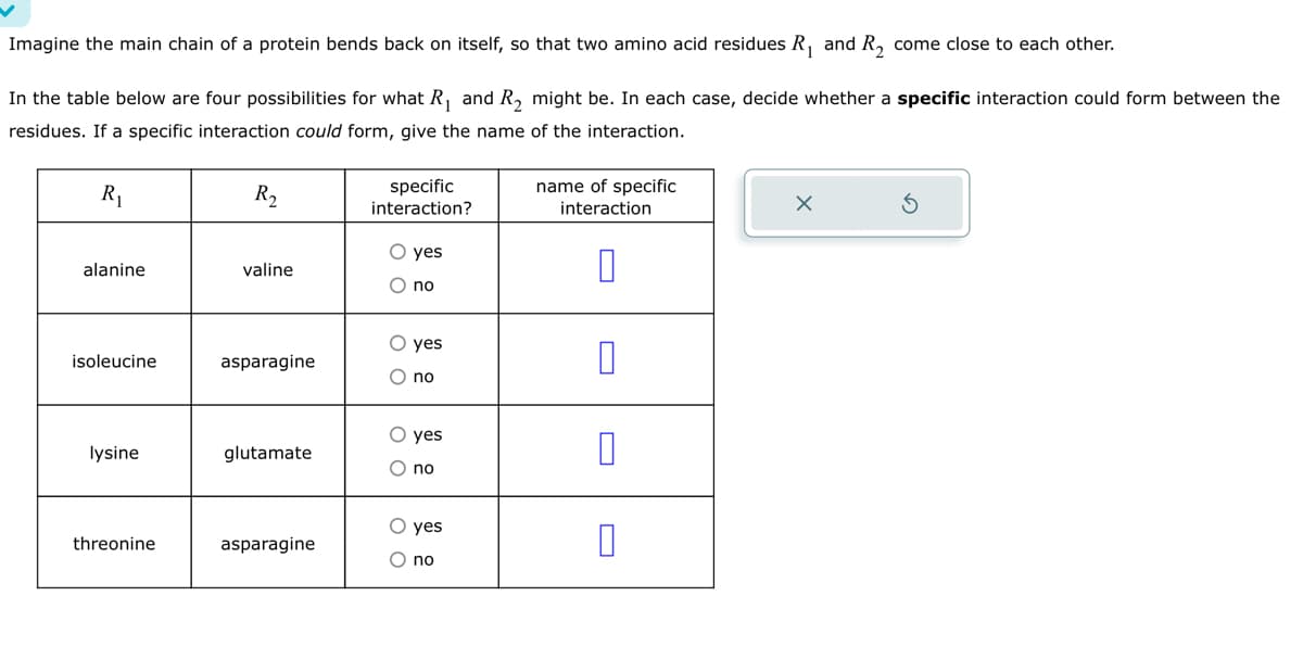 Imagine the main chain of a protein bends back on itself, so that two amino acid residues R₁ and R₂ come close to each other.
In the table below are four possibilities for what R₁ and R2 might be. In each case, decide whether a specific interaction could form between the
residues. If a specific interaction could form, give the name of the interaction.
R₁
R₂
specific
interaction?
name of specific
interaction
x
yes
alanine
valine
O no
isoleucine
asparagine
○ yes
O no
yes
lysine
glutamate
☐
O no
yes
threonine
asparagine
O no