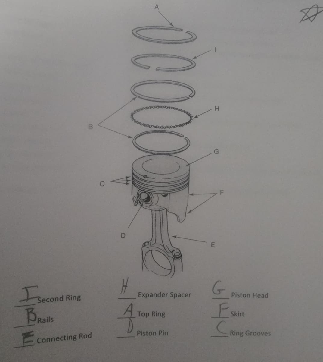 F
second Ring
G.
Expander Spacer
Piston Head
BRails
Top Ring
Skirt
Piston Pin
Ring Grooves
Connecting Rod
