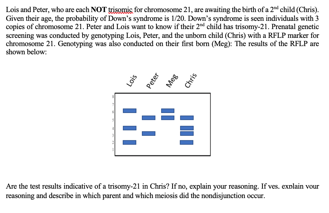 Lois and Peter, who are each NOT trisomic for chromosome 21, are awaiting the birth of a 2nd child (Chris).
Given their age, the probability of Down's syndrome is 1/20. Down's syndrome is seen individuals with 3
copies of chromosome 21. Peter and Lois want to know if their 2nd child has trisomy-21. Prenatal genetic
screening was conducted by genotyping Lois, Peter, and the unborn child (Chris) with a RFLP marker for
chromosome 21. Genotyping was also conducted on their first born (Meg): The results of the RFLP are
shown below:
Are the test results indicative of a trisomy-21 in Chris? If no, explain your reasoning. If ves. explain vour
reasoning and describe in which parent and which meiosis did the nondisjunction occur.
Lois
Peter
Meg
Chris
