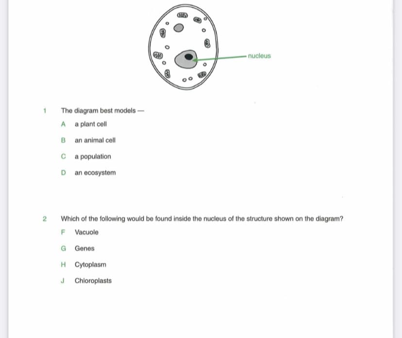 nucleus
1
The diagram best models -
A a plant cell
B an animal cell
c a population
D an ecosystem
2
Which of the following would be found inside the nucleus of the structure shown on the diagram?
F Vacuole
G Genes
H Cytoplasm
J Chloroplasts
