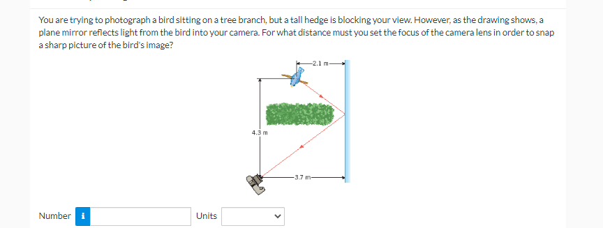 You are trying to photograph a bird sitting on a tree branch, but a tall hedge is blocking your view. However, as the drawing shows, a
plane mirror reflects light from the bird into your camera. For what distance must you set the focus of the camera lens in order to snap
a sharp picture of the bird's image?
Number i
Units
4.3 m
-3.7 m-