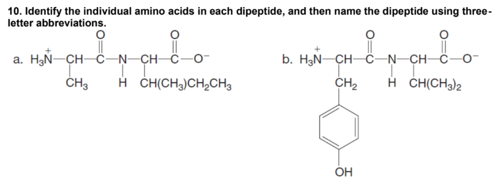 -C-0-
10. Identify the individual amino acids in each dipeptide, and then name the dipeptide using three-
letter abbreviations.
a. H3Ñ-CH-Ö
-N–CH
b. H3Ñ-CH-
C
N-CH
ČH3
H ČH(CH3)CH,CH3
CH2
H ČH(CH3)2
OH
