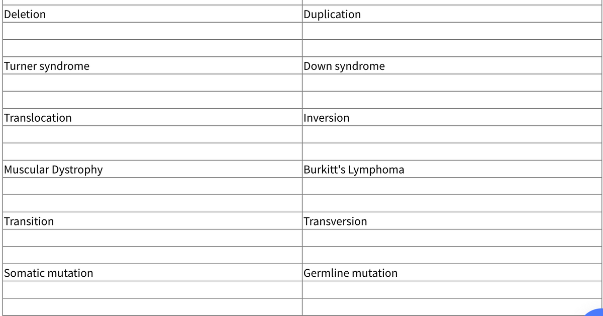 Deletion
Duplication
Turner syndrome
Down syndrome
Translocation
Inversion
Muscular Dystrophy
Burkitt's Lymphoma
Transition
Transversion
Somatic mutation
Germline mutation
