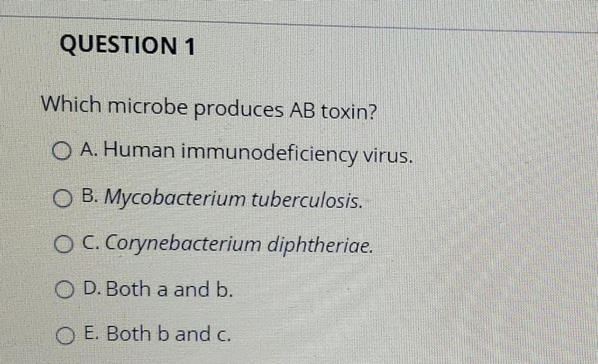 QUESTION 1
Which microbe produces AB toxin?
O A. Human immunodeficiency virus.
O B. Mycobacterium tuberculosis.
OC.Corynebacterium diphtheriae.
O D. Both a and b.
O E. Both band c.
