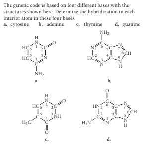 The genetic code is based on four different bases with the
structures shown here. Determine the hybridization in each
interior atom in these four bases.
a. cytosine
b. adenine
c. thymine
d. guanine
NH2
H
HC
SCH
HC
H
NH2
a.
b.
H
HC
HN1
8CH
NH
H;C
H2N
H
d.
