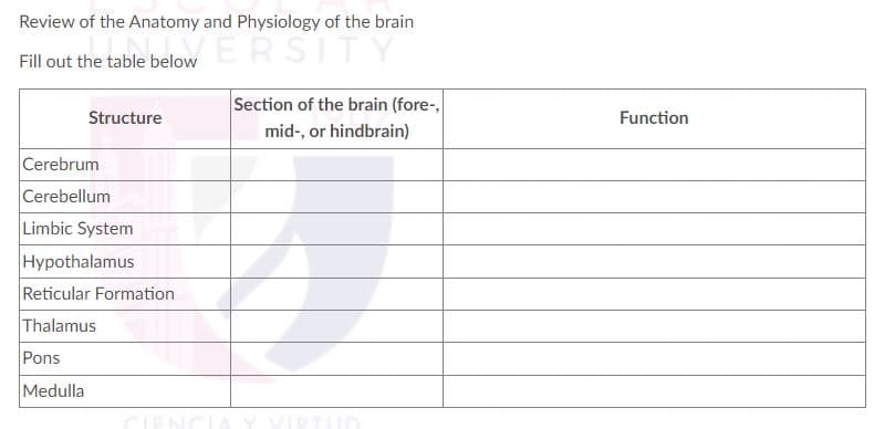 Review of the Anatomy and Physiology of the brain
Fill out the table below ERSITY
Structure
Cerebrum
Cerebellum
Limbic System
Hypothalamus
Reticular Formation
Thalamus
Pons
Medulla
Section of the brain (fore-,
mid-, or hindbrain)
Function