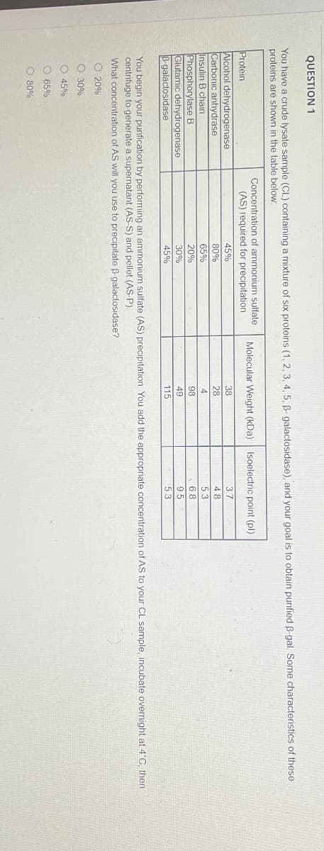 QUESTION 1
You have a crude lysate sample (CL) containing a mixture of six proteins (1, 2, 3, 4, 5, ẞ- galactosidase), and your goal is to obtain purified ẞ-gal. Some characteristics of these
proteins are shown in the table below.
Protein
Alcohol dehydrogenase
Carbonic anhydrase
Insulin B chain
Phosphorylase B
Glutamic dehydrogenase
B-galactosidase
Concentration of ammonium sulfate
(AS) required for precipitation
Molecular Weight (kDa) Isoelectric point (pl)
45%
38
3.7
80%
65%
20%
30%
45%
28
4.8
4
5.3
98
68
49
9.5
115
5.3
You begin your purification by performing an ammonium sulfate (AS) precipitation. You add the appropriate concentration of AS to your CL sample, incubate overnight at 4°C, then
centrifuge to generate a supernatant (AS-S) and pellet (AS-P).
What concentration of AS will you use to precipitate ẞ-galactosidase?
O 20%
O 30%
O 45%
65%
O 80%
