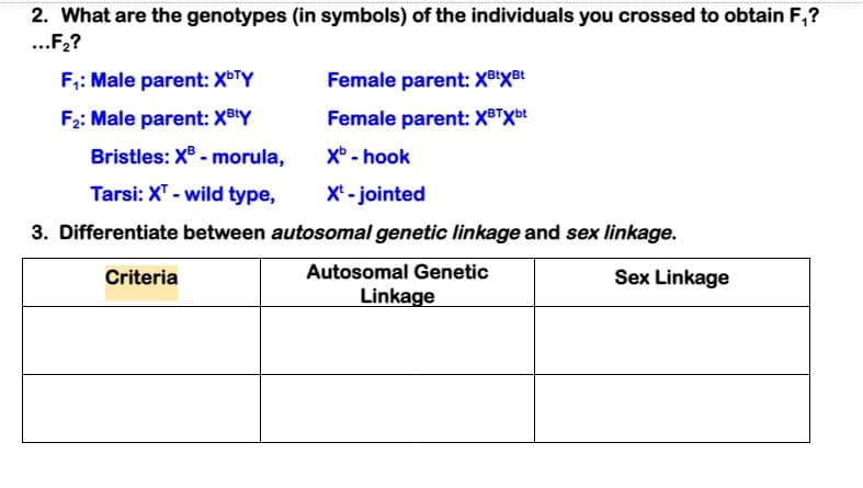 2. What are the genotypes (in symbols) of the individuals you crossed to obtain F,?
..F,?
F;: Male parent: XbTY
Female parent: X8tXBt
F2: Male parent: XBtY
Female parent: X8TXbt
Bristles: X® - morula,
Xb - hook
Tarsi: X" - wild type,
X' - jointed
3. Differentiate between autosomal genetic linkage and sex linkage.
Criteria
Autosomal Genetic
Sex Linkage
Linkage
