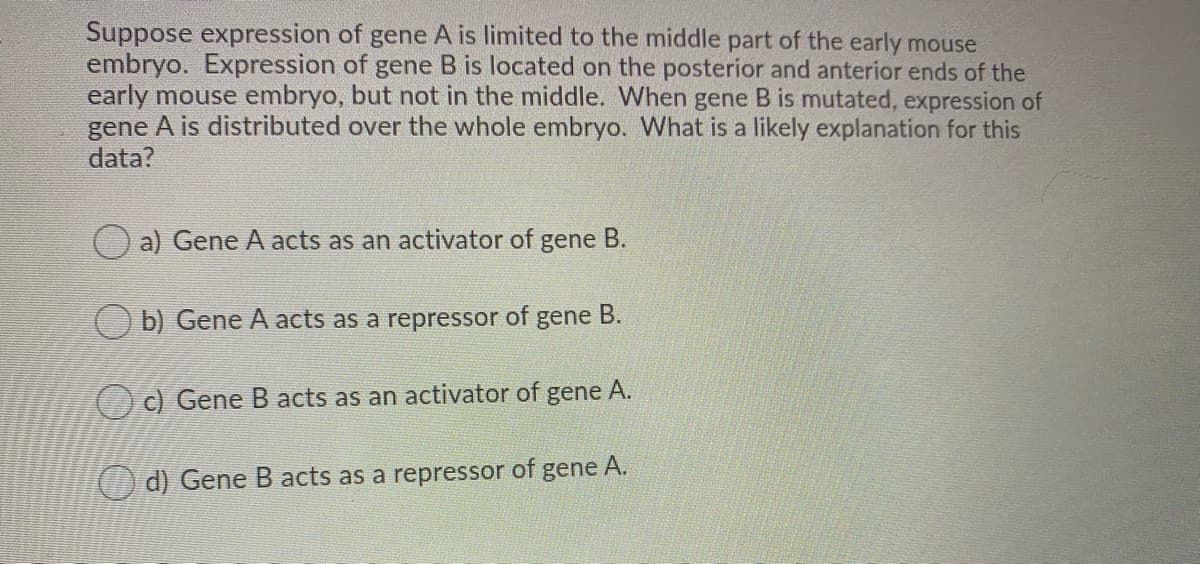 Suppose expression of gene A is limited to the middle part of the early mouse
embryo. Expression of gene B is located on the posterior and anterior ends of the
early mouse embryo, but not in the middle. When gene B is mutated, expression of
gene A is distributed over the whole embryo. What is a likely explanation for this
data?
a) Gene A acts as an activator of
gene B.
Ob) Gene A acts as a repressor of gene B.
O c) Gene B acts as an activator of gene A.
() d) Gene B acts as a repressor of gene A.
