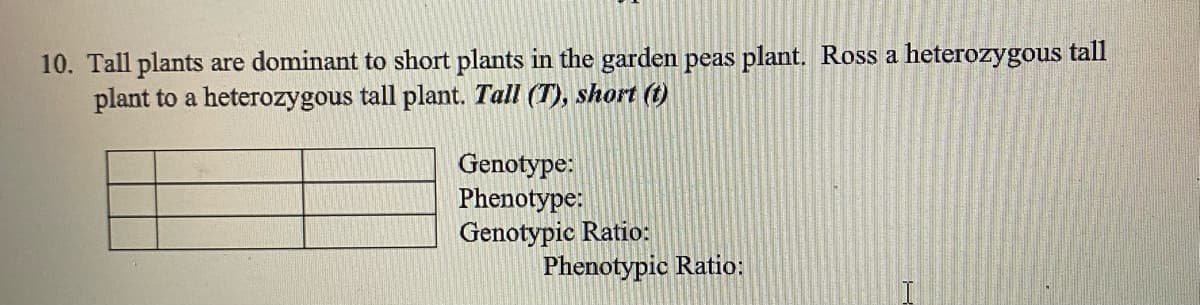 10. Tall plants are dominant to short plants in the garden peas plant. Ross a heterozygous tall
plant to a heterozygous tall plant. Tall (T), short (t)
Genotype:
Phenotype:
Genotypic Ratio:
Phenotypic Ratio:
