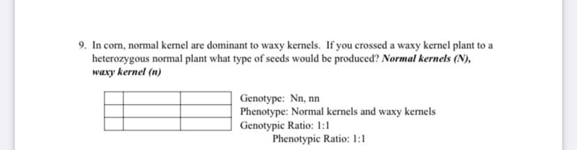 9. In con, normal kernel are dominant to waxy kernels. If you crossed a waxy kernel plant to a
heterozygous normal plant what type of seeds would be produced? Normal kernels (N),
waxy kernel (n)
Genotype: Nn, nn
Phenotype: Normal kernels and waxy kernels
Genotypic Ratio: 1:1
Phenotypic Ratio: 1:1
