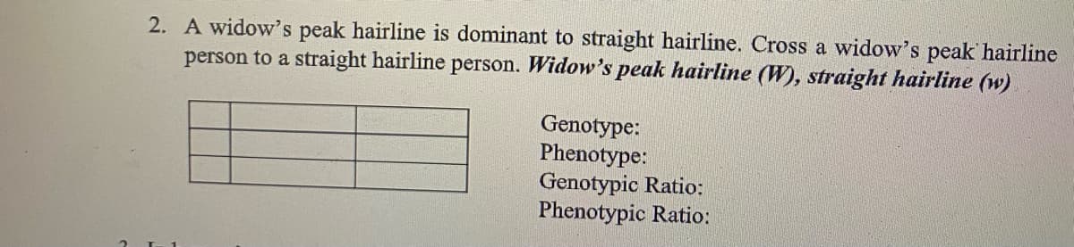 2. A widows peak hairline is dominant to straight hairline. Cross a widow's peak hairline
person to a straight hairline person. Widow's peak hairline (W), straight hairline (w)
Genotype:
Phenotype:
Genotypic Ratio:
Phenotypic Ratio:

