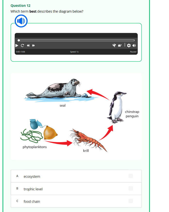 Question 12
Which term best describes the diagram below?
0:00/0:06
A
B
C «»
с
phytoplanktons
ecosystem
trophic level
food chain
seal
Speed: 1x
krill
�ª |✿•
Paused
chinstrap
penguin