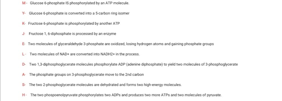 M- Glucose 6-phosphate IS phosphorylated by an ATP molecule.
Y- Glucose 6-phosphate is converted into a 5-carbon ring isomer
K- Fructose 6-phosphate is phosphorylated by another ATP
J Fructose 1, 6-diphosphate is processed by an enzyme
E Two molecules of glyceraldehyde 3-phosphate are oxidized, losing hydrogen atoms and gaining phosphate groups
L- Two molecules of NAD+ are converted into NADH2+ in the process.
D- Two 1,3-diphosphoglycerate molecules phosphorylate ADP (adenine diphosphate) to yield two molecules of 3-phosphoglycerate
A The phosphate groups on 3-phosphoglycerate move to the 2nd carbon
S The two 2-phosphoglycerate molecules are dehydrated and forms two high-energy molecules.
H-
The two phospoenolpyruvate phosphorylates two ADPS and produces two more ATPS and two molecules of pyruvate.
