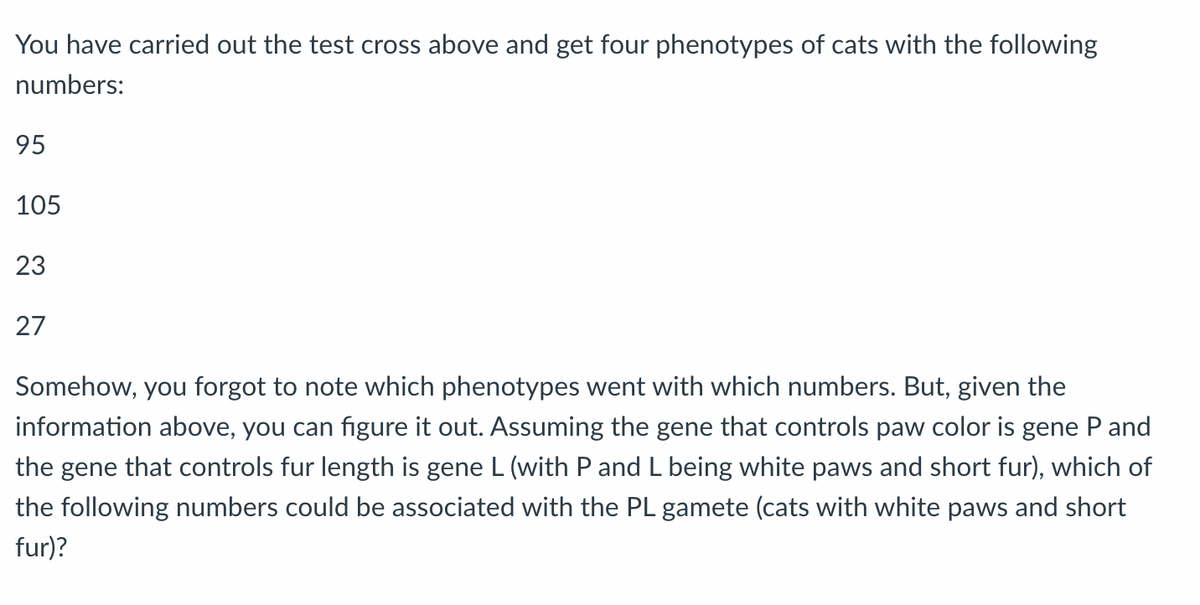 You have carried out the test cross above and get four phenotypes of cats with the following
numbers:
95
105
23
27
eho
you forgot to note which phenotypes went with which numbers. But, given the
information above, you can figure it out. Assuming the gene that controls paw color is gene P and
the gene that controls fur length is gene L (with P and L being white paws and short fur), which of
the following numbers could be associated with the PL gamete (cats with white paws and short
fur)?

