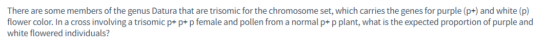 There are some members of the genus Datura that are trisomic for the chromosome set, which carries the genes for purple (p+) and white (p)
flower color. In a cross involving a trisomic p+ p+ p female and pollen from a normal p+ p plant, what is the expected proportion of purple and
white flowered individuals?
