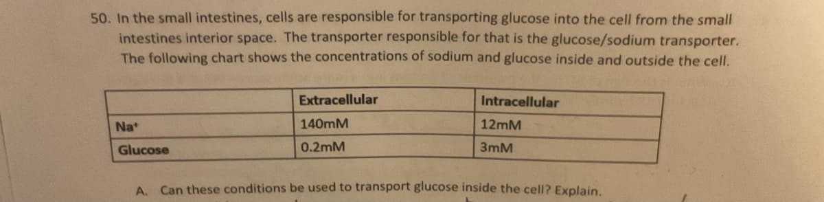 50. In the small intestines, cells are responsible for transporting glucose into the cell from the small
intestines interior space. The transporter responsible for that is the glucose/sodium transporter.
The following chart shows the concentrations of sodium and glucose inside and outside the cell.
Nat
Glucose
Extracellular
140MM
0.2mM
Intracellular
12mM
3mM
A. Can these conditions be used to transport glucose inside the cell? Explain.