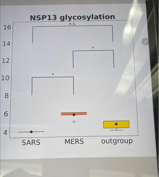 16
14
12
10
8
6
4
NSP13 glycosylation
SARS
*
n.s.
MERS
outgroup
VERS