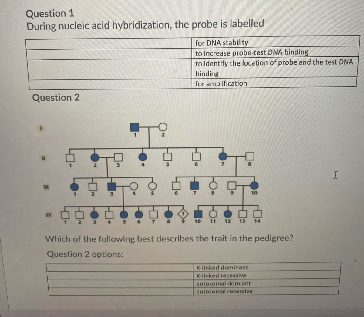 Question 1
During nucleic acid hybridization, the probe is labelled
for DNA stability
to increase probe-test DNA binding
to identify the location of probe and the test DNA
binding
for amplification
Question 2
10
IV
8
10
11
12
13
14
Which of the following best describes the trait in the pedigree?
Question 2 options:
X-linked dominant
X-linked recessive
autosomal domiant
autosomal recessive
