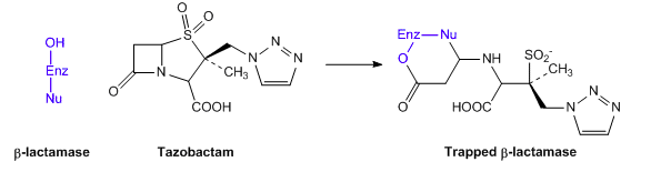 Enz-Nu
OH
NH
Énz
CH3
CH3
Nu
COOH
HOOC
B-lactamase
Tazobactam
Trapped B-lactamase
