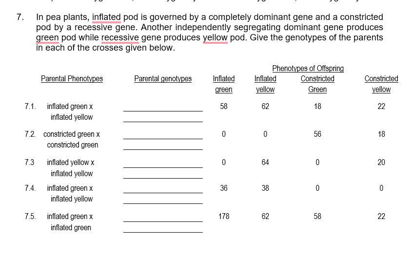 7. In pea plants, inflated pod is governed by a completely dominant gene and a constricted
pod by a recessive gene. Another independently segregating dominant gene produces
green pod while recessive gene produces yellow pod. Give the genotypes of the parents
in each of the crosses given below.
Phenotypes of Offspring
Parental Phenotypes
Parental genotypes
Inflated
Inflated
Constricted
Constricted
yellow
green
yellow
Green
inflated green x
inflated yellow
7.1.
58
62
18
22
7.2. constricted green x
56
18
constricted green
7.3
inflated yellow x
64
20
inflated yellow
inflated green x
inflated yellow
7.4.
36
38
inflated green x
inflated green
7.5.
178
62
58
22
