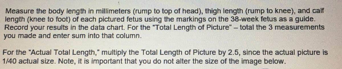 Measure the body length in millimeters (rump to top of head), thigh length (rump to knee), and calf
length (knee to foot) of each pictured fetus using the markings on the 38-week fetus as a guide.
Record your results in the data chart. For the "Total Length of Picture" - total the 3 measurements
you made and enter sum into that column.
For the "Actual Total Length," multiply the Total Length of Picture by 2.5, since the actual picture is
1/40 actual size. Note, it is important that you do not alter the size of the image below.