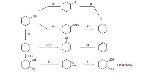 Br
(a)
OH
OTs
(d)
(e)
NBS
(f)
|HOCI
HO-
HO
(g)
(h)
+ enantiomer
HO,
