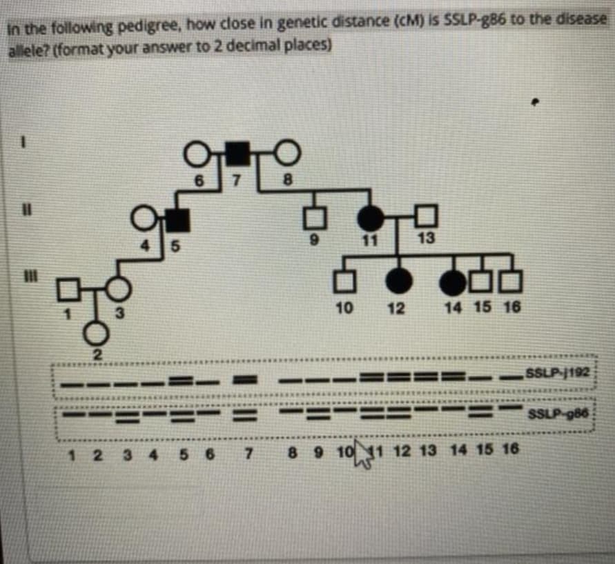 in the following pedigree, how close in genetic distance (cM) is SSLP-g86 to the disease
allele? (format your answer to 2 decimal places)
8.
%3D
11
13
10
12
14 15 16
SSLP-1192
SSLP-g86
1234
56
7.
89 10 1 12 13 14 15 16
