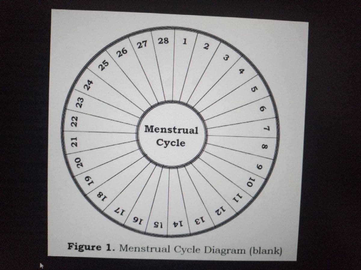 23
21 22
20
24
19
25
18
26
17
27
91
28 1
Menstrual
Cycle
S
εἶ
2
3
12
8
11
5
10
6
7
8
9
Figure 1. Menstrual Cycle Diagram (blank)