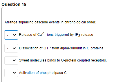 Question 15
Arrange signalling cascade events in chronological order.
Release of Ca2* ions triggered by IP3 release
Dissociation of GTP from alpha-subunit in G proteins
Sweet molecules binds to G-protein coupled receptors.
v Activation of phospholipase C
>
