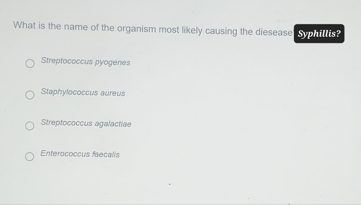 What is the name of the organism most likely causing the diesease Syphillis?
Streptococcus pyogenes
Staphylococcus aureus
Streptococcus agalactiae
Enterococcus faecalis