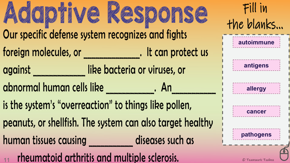 Adaptive Response
Fill in
the blanks..
Our specific defense system recognizes and fights
autoimmune
foreign molecules, or
It can protect us
antigens
against
like bacteria or viruses, or
abnormal human cells like
An
allergy
is the system's "overreaction" to things like pollen,
cancer
peanuts, or shellfish. The system can also target healthy
pathogens
human tissues causing
diseases such as
rheumatoid arthritis and multiple sclerosis.
11
O Teamwork Toolbox
