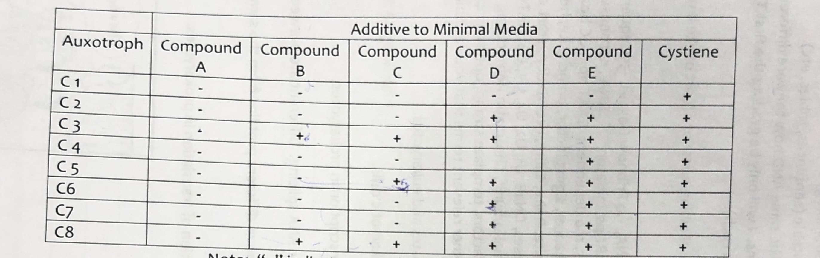 Additive to Minimal Media
Auxotroph
Compound Compound
Compound Compound Compound
Cystiene
C1
СЗ
C5
C6
C7
C8
+t
