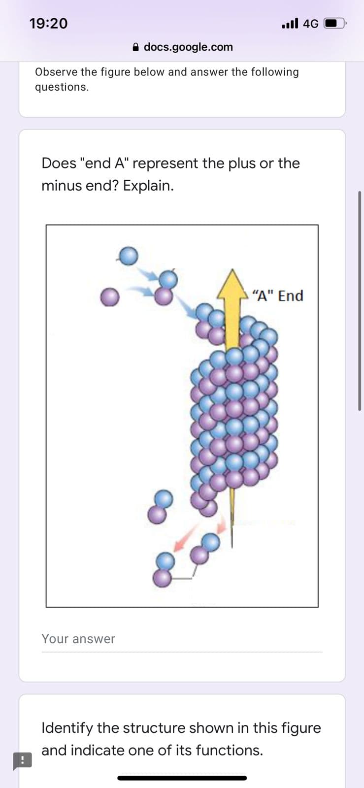 19:20
uil 4G
A docs.google.com
Observe the figure below and answer the following
questions.
Does "end A" represent the plus or the
minus end? Explain.
"A" End
Your answer
Identify the structure shown in this figure
and indicate one of its functions.
