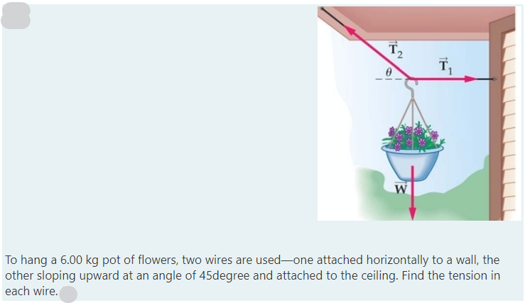 T2
W
To hang a 6.00 kg pot of flowers, two wires are used-one attached horizontally to a wall, the
other sloping upward at an angle of 45degree and attached to the ceiling. Find the tension in
each wire.
