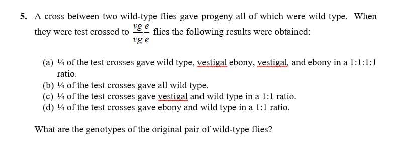 5. A cross between two wild-type flies gave progeny all of which were wild type. When
vg e
they were test crossed to
flies the following results were obtained:
vg e
(a) 4 of the test crosses gave wild type, vestigal ebony, vestigal and ebony in a 1:1:1:1
ratio.
(b) 4 of the test crosses gave all wild type.
(c) 4 of the test crosses gave vestigal and wild type in a 1:1 ratio.
(d) 4 of the test crosses gave ebony and wild type in a 1:1 ratio.
What are the genotypes of the original pair of wild-type flies?
