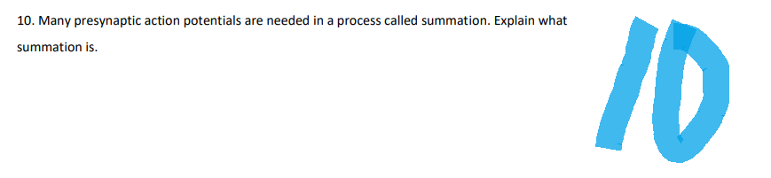 10. Many presynaptic action potentials are needed in a process called summation. Explain what
summation is.
10