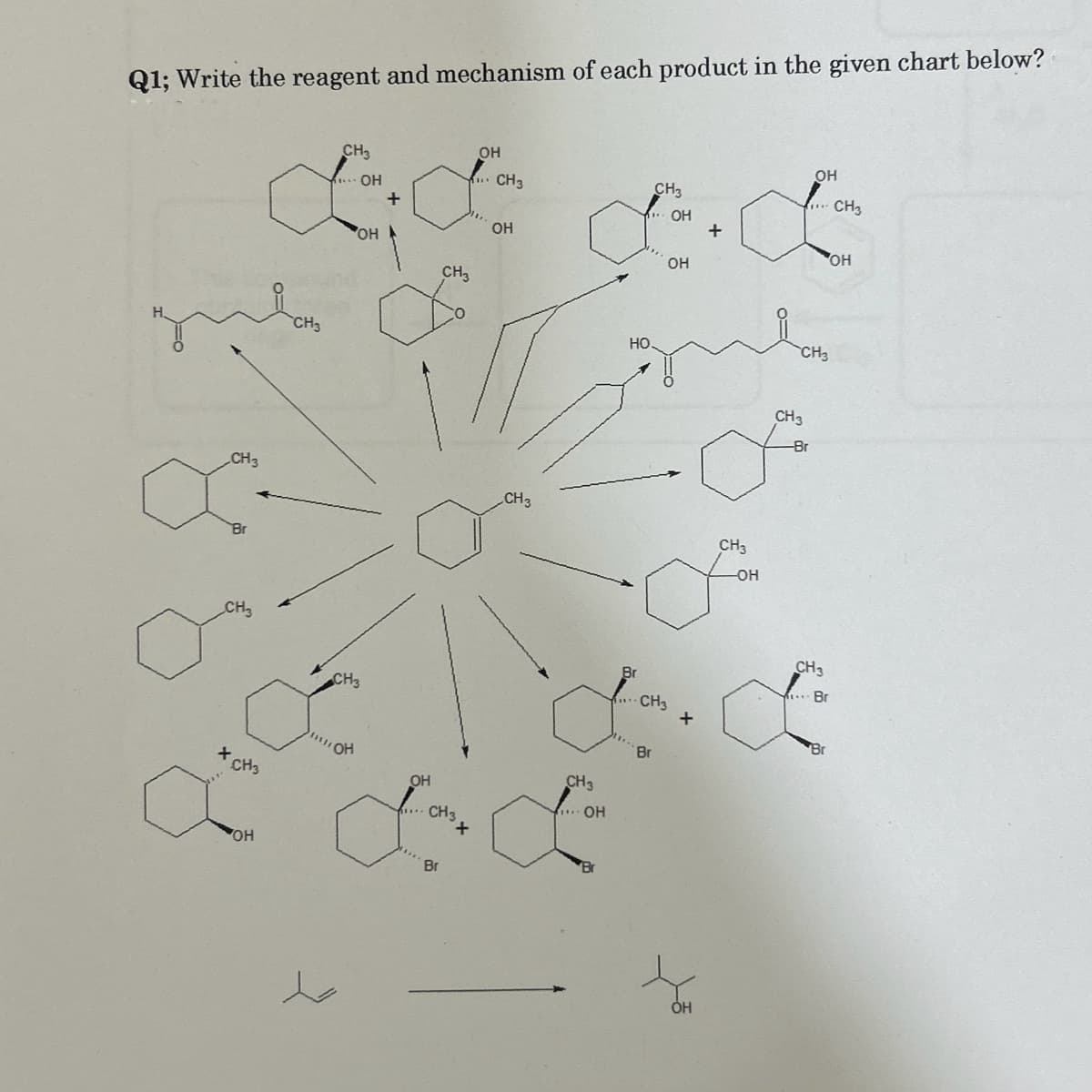 Q1; Write the reagent and mechanism of each product in the given chart below?
ди
CH3
Br
CH3
OH
CH3
CH3
.... OH
OH
CH3
он
а
+
а
OH
CH3
CH3
Br
+
OH
...CH3
OH
CH3
CH3
.... OH
НО
Br
CH3
Br
ОН
OH
..CH3
+
CH3
риво
CH3
ОН
OH
.... CH3
CH3
-OH
-Br
OH
CH3
Br
Br