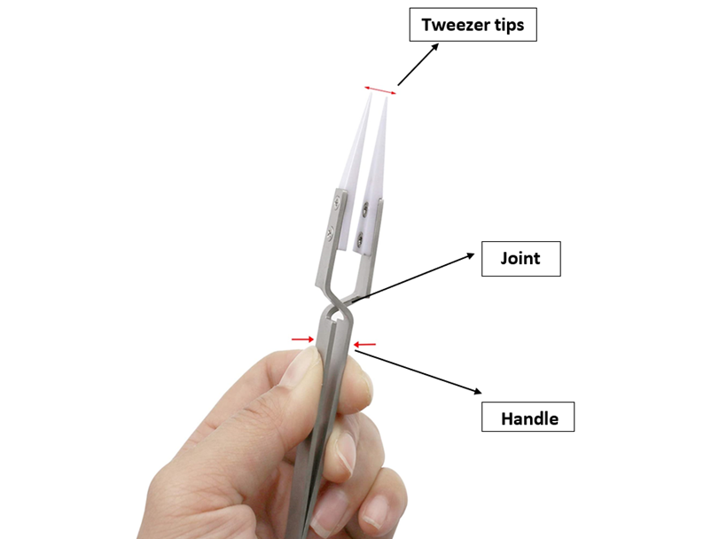 Tweezer tips
Joint
Handle
